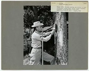 Mining - Idaho. Photographs Relating to National Forests