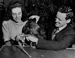 Rough Prints: Miss Carol Hawkins Paddy their 5yrs old dog & Eric Worrell of ***** in holding a hand full of young python snakes