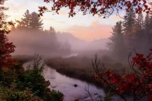 Swamp Prints: Mists overlying a small stream and swamp at dawn, Haliburton, Ontario, Canada