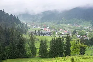 Romania Prints: Misty Romanian forest landscape around Sucevita Monastery, Bukovina Region, Romania