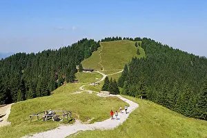 Hike Prints: Mittleren Hoernle Mountain, Hoernlealm alpine pasture