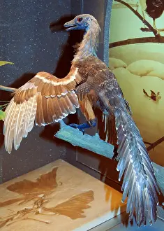 Link Prints: model cast of an Archaeopteryx