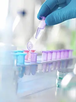 Technician Prints: MODEL RELEASED. Scientist holding a vial containing a specimen ready for analysis in a laboratory