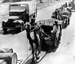 Holocaust Prints: A modern truck passes a camel both ***** with materials for U