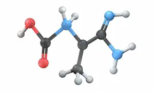 Protein Prints: Molecular model of creatine, illustration