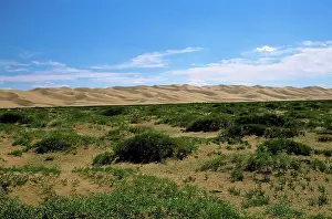 Sand Dunes Prints: Mongolia, Gobi Desert, Near Dalanzadgad, Khongoryn Els (Sand Dunes), Vegetation