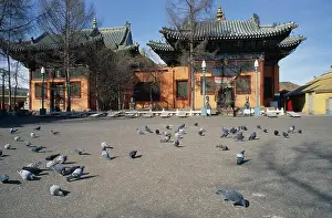 Buddhism Prints: Mongolia, Ulaan Baatar, Gandan Hiid Buddhist Monastery Exterior Facade With Pigeons In Courtyard In Foreground
