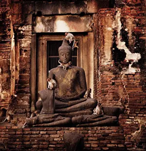 Southeast Asia Prints: Monkeys climbing on a buddha statue in Prang Sam Yod temple