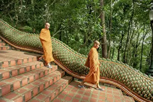 Visitor Prints: Monks going down the Naga staircase at Wat Phra That Doi Suthep