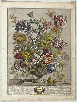 Twelve Prints: Twelve Months of Flowers: April, 1730
