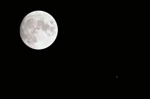 Mystery Prints: Moon