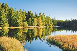 Swamp Prints: Moorsee Etang de la Gruere am Morgen im Herbst