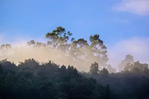 Chile Prints: Morning fog in the Castro Channel, Castro, Chiloe, Chile