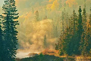 Misty Prints: Morning fog rising above a creek in the boreal forest