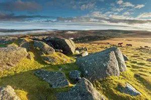 Mist Prints: Morning at Sheepstor in Dartmoor