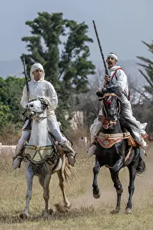 Morocco, Agadir, Fantasia. Typical Moroccan horse show