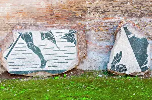 Ruin Prints: Mosaic, Baths of Caracalla, UNESCO World Heritage Site