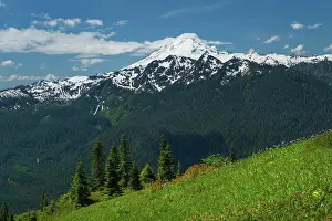 Glaciers Prints: Mount Baker (elevation 10, 778feet (3)