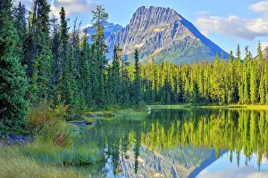 Financial Prints: Mount Fryatt Pond along the Icefields Parkway, Jasper National Park
