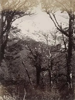 1880s Prints: Mount Rolleston, 1880s, by Burton Brothers