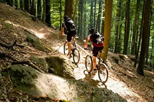 Biking Prints: Two mountain bikers passing forest trail, Palatine Forest, Rhineland-Palentine, Germany