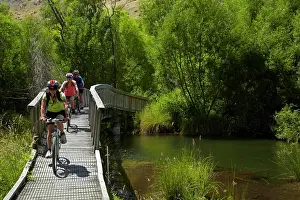 Biking Prints: Mountain bikers on the wetlands boardwalk on the Lake Hayes Circuit