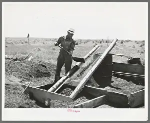 Mr. Browning screening coal which he has salvaged