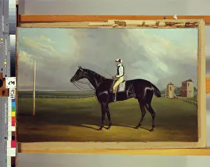 Sports Ground Prints: Mr. R. O. Gascoigne's Jerry with B