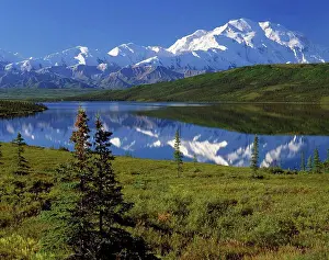 Pure Prints: Mt McKinley Wonder Lake Summer Denali NP Interior AK