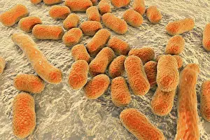 Aerobic Prints: Multi-drug resistant Acinetobacter baumannii bacteria