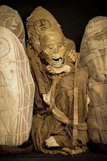 Civilization Prints: Mummies, Museum of Leymebamba, Chachapoyas Province, Amazonas Region, Peru