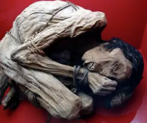 Peru Prints: Mummified body of a male. From the Chimu people, Peru, 1200-1400