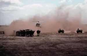 Aviation Prints: Mustering by helicopter wild buffalo Kakadu National Park, Northern Territory, Australia