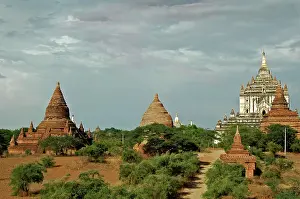 Temples Prints: Myanmar, Bagan, Buddhist temple-packed vast arid plain of Pagan among bushes