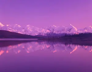 Darrell Gulin Prints: NA, USA, Alaska, Denali NP, Wonder Lake
