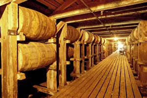 Barrel Prints: NA, USA, Kentucky, Ancient Age Distillery