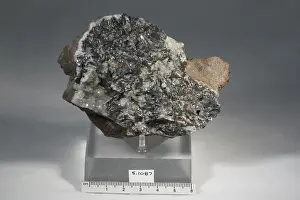 Mineral Prints: Nagyagite. minerals. Europe; Romania; Transylvania; Hunedoara; Scrmb; [Transylvania