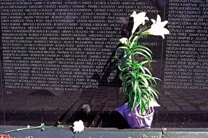 Heroes Prints: Names on Vietnam Veterans Memorial Wall