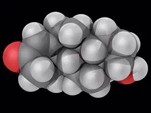 Fill Prints: Nandrolone, molecular model. Anabolic steroid used to increase muscle growth
