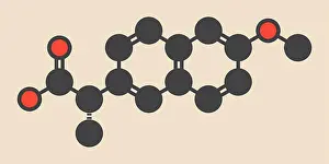 Composition Prints: Naproxen pain and inflammation drug (NSAID) molecule