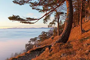 Turiec Prints: National park of Velka Fatra in northern Slovakia