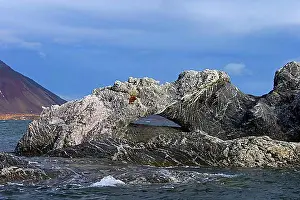 Norway Prints: Natural arch, rock formation in Burgerbukta