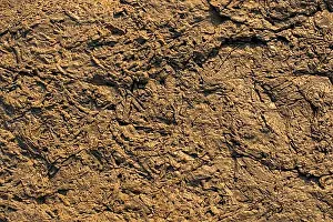 Originally Prints: Natural rock or Stone surface as background texture