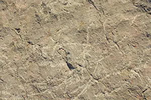 Naturalness Prints: Natural rock or Stone surface as background texture