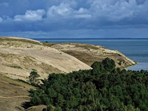 Coniferous Prints: Negyvosios kopos, on the big dune near Juodkrante on the Curonian Spit, Lithuania