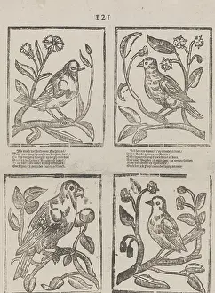 Amsterdam Prints: Netherlands, Amsterdam, Putte, widow Hendrik van der