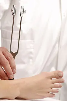 Concentrate Prints: Neurology : Examination of perception of vibration with tuning fork