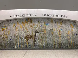 Train Station Prints: New Grand Central LIRR train station