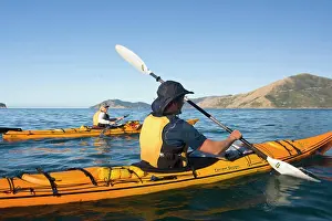 Paddle Prints: New Zealand, South Island, Marlborough Sounds