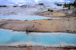 Geyser Prints: Norris Geyser Basin in Yellowstone National Park, USA